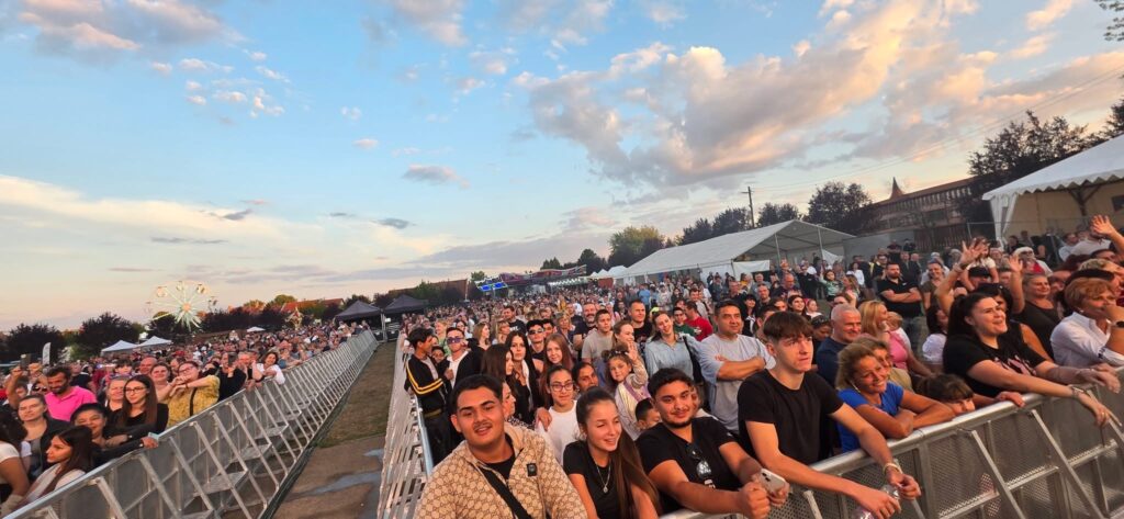 IMG 0944 1024x473